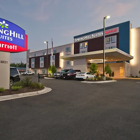 Springhill Suites By Marriott Baton Rouge Gonzales-2